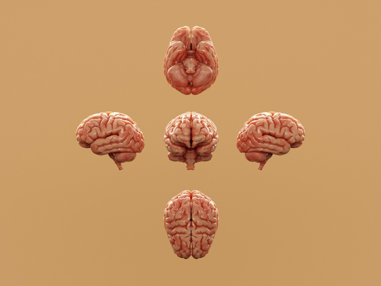 Benvenuti/e in “Pillole di Neuropsicologia”, il mio blog!